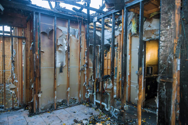 Professional Odor Removal technician working in Bright, IN